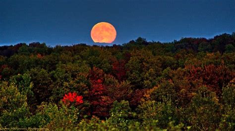 Fall Harvest Moon Siegel Marsh In Erie Pa Erie Harvest Moon Clouds