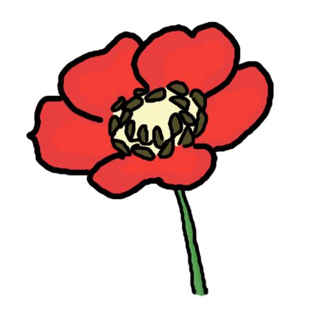 Free Red Poppy Cliparts, Download Free Red Poppy Cliparts png images