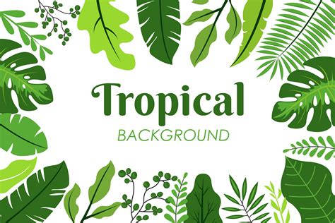 Tropical Leaves Vectores Iconos Gráficos Y Fondos Para Descargar Gratis