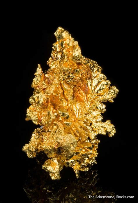 Gold Mau 01 Recorder Claim Usa Mineral Specimen