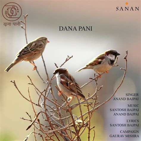 Bhookhi Pyasi Chidiya Rani Songs Download Free Online Songs Jiosaavn
