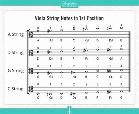 Viola String Notes And Fingering Charts Viola Basics Violinspiration