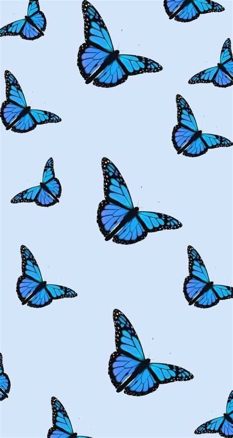 Cool Aesthetic Tumblr Blue Butterfly Wallpaper Aesthetic Download