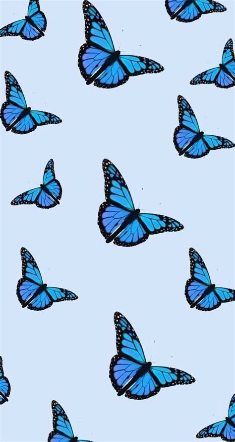 Sky aesthetic aesthetic themes aesthetic videos aesthetic pictures butterfly video monarch monarch butterfly in slow motion. Awesome Clipart Wallpapers - Aesthetic Tumblr Blue Butterfly Wallpaper Iphone With Hd Quality By ...