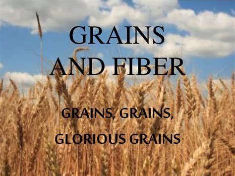 PPT GRAINS AND FIBER PowerPoint Presentation Free Download ID