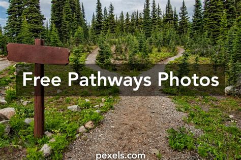 500 Beautiful Pathways Photos · Pexels · Free Stock Photos