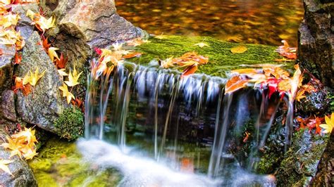 Download Wallpaper 1366x768 Autumn Nature Stream Water