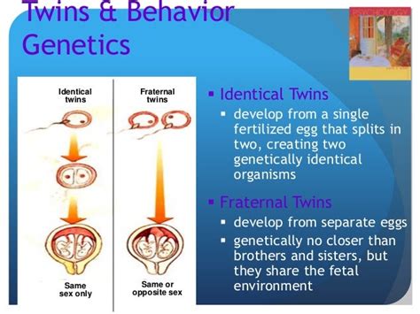 Genetic And Evolutionary Roots Of Behavior