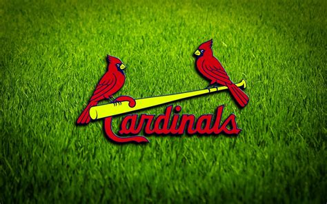 Sports St Louis Cardinals Hd Wallpaper