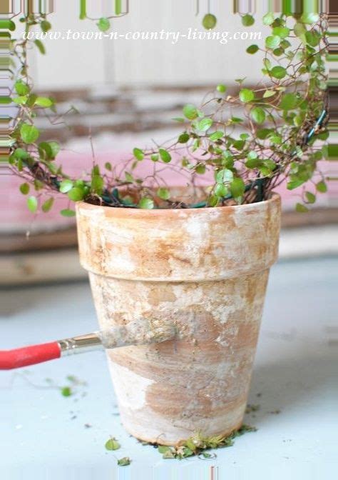 Those chunks turned green in 24 hours. How to grow moss on a clay pot | Garden pots, Aging terra ...