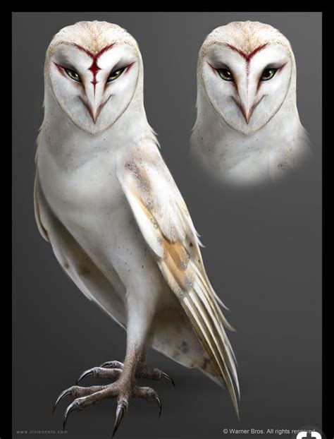 Creature Concept Art Creature Design Creature Art Owl Photos Owl