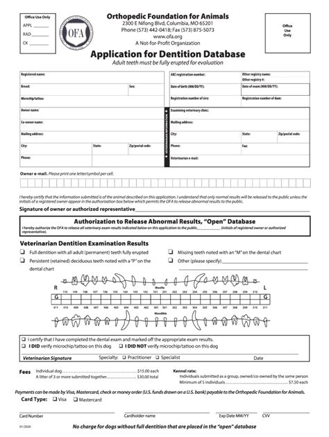Ofa Application 2020 2024 Form Fill Out And Sign Printable Pdf
