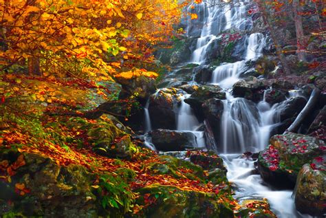Enchanted Falls Beautiful Waterfalls Waterfall Nature