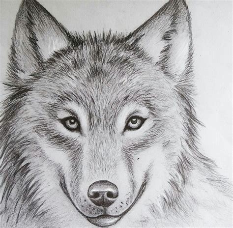 Weitere ideen zu wolf bilder, wolf, bilder. Pin von Ella Thompson auf Wolf drawings | Pinterest ...