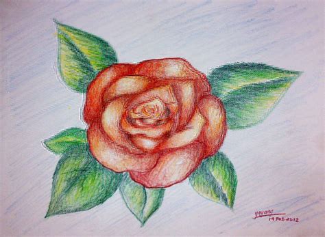 Tag Gambar Sketsa Bunga Mawar Dalam Pot