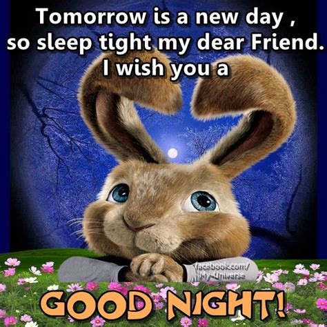 Tomorrow Is A New Day So Sleep Tight My Dear Friend I Wish You A Good Night Good Night