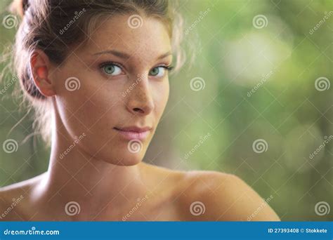 Beauty In Nature Stock Photo Image Of Beauty Copy Summer 27393408