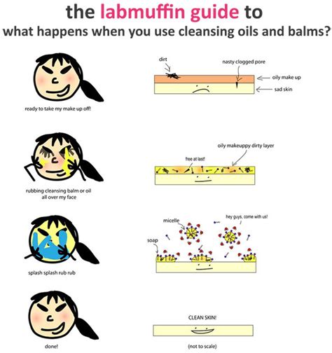 Lab Muffin Beauty Science The Science Of Beauty Explained Simply The Balm Cleansing Balm
