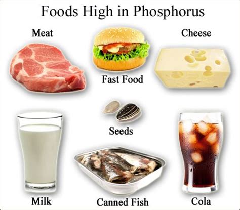Foods High In Phosphorus Foods Good For Kidneys Renal Diet Kidney