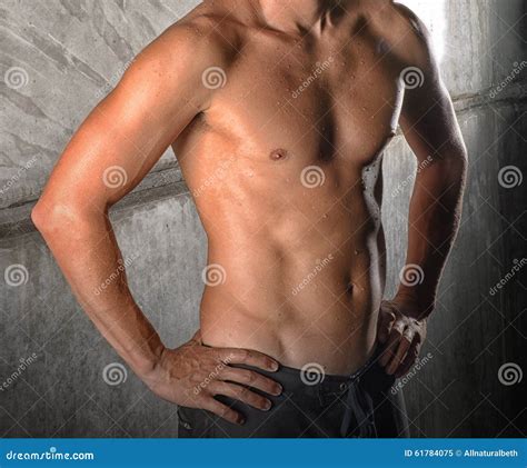 Torso Muscular Male Body Bodybuilder Achievement Great Shape Naked