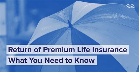 Return Of Premium Life Insurance Explained Holborn Assets Blog