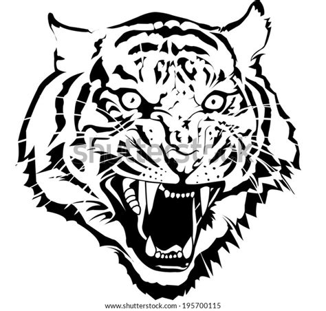 Black White Tiger Head Vector By Stock Vector Royalty Free 195700115