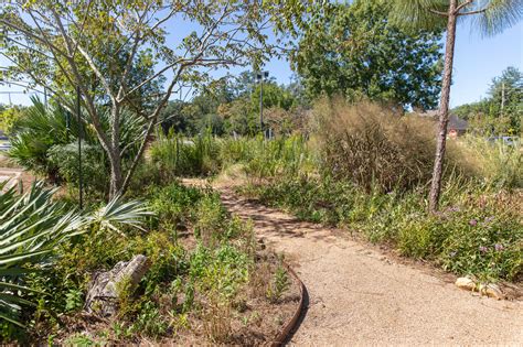 Local Landscaping Business Turns To Native Plants In Response To The