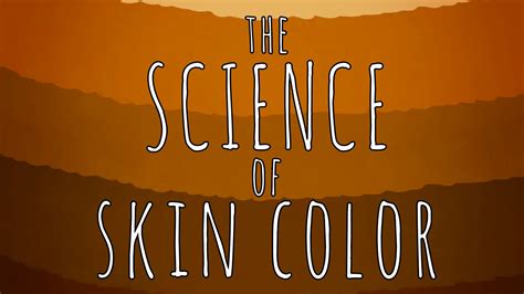 Why Do Humans Have Different Colored Skin — The Wonder Of Science