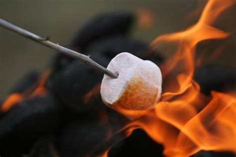 The Science Behind Roasting The Perfect Marshmallow Cottage Life