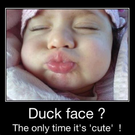 Funny Duck Face Quotes Shortquotes Cc