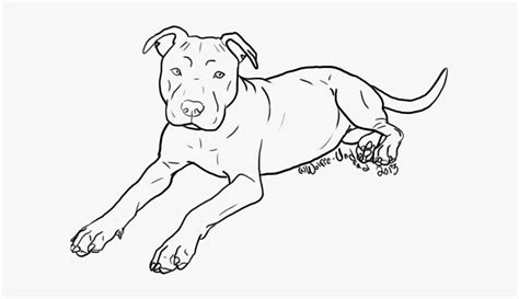Dog Breed Puppy American Pit Bull Terrier Outline Of A Pitbull Hd