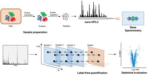 Mass Spectrometry And Proteomics Max Planck Institute For Terrestrial Microbiology
