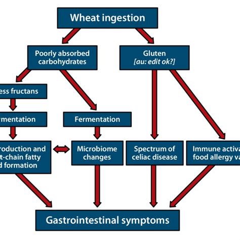 Terminology Of Gluten Related Disorders Download Table