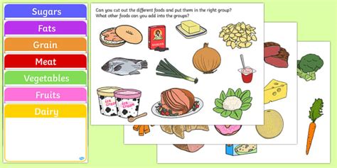 Food Group Sorting Activity Teacher Made