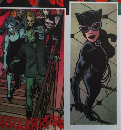 Catwoman Vol 3 Friend Or Foe Graphic Novel Softcover Mintnew