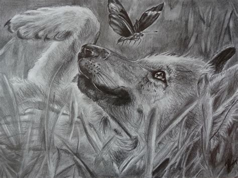 Realistic wolf fine art photo print black ballpoint drawing kage kami. 10+ Cool Wolf Drawings for Inspiration 2017