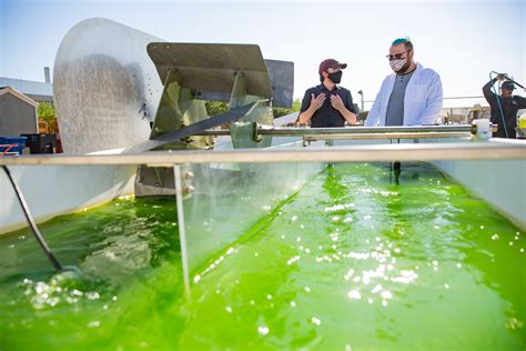 Algae Biofuel Farm