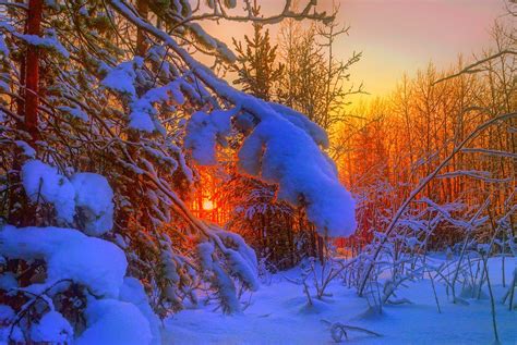 Evening Nature Stunning Winter Snow Landscape Trees Sunset
