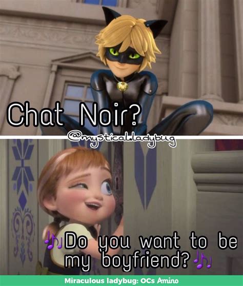 Ladybug Cat Noir Memes