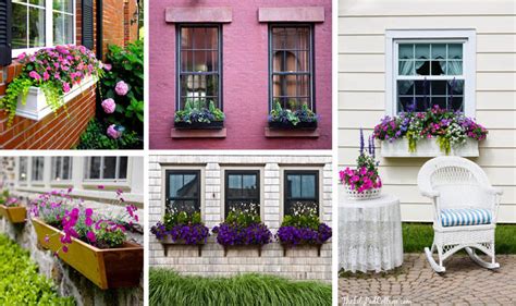 Pretty Window Boxes To Beautify Your House Exterior