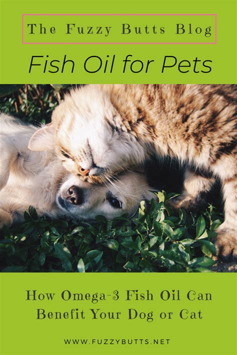 It's a question might come to your mind once. Omega-3 Fish Oil: How Can it Benefit Your Dog or Cat? in ...
