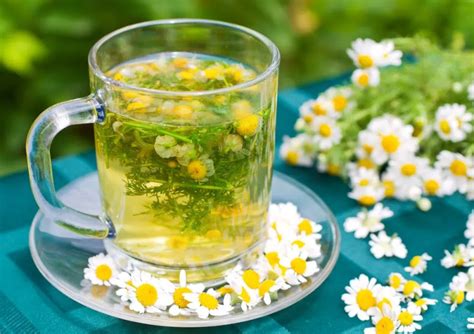 11 Amazing Benefits Of Chamomile Tea Natural Food Series