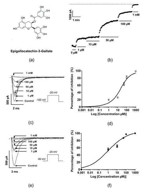 Pharmacological Effects Of Epigallocatechin 3 Gallate Egcg On The