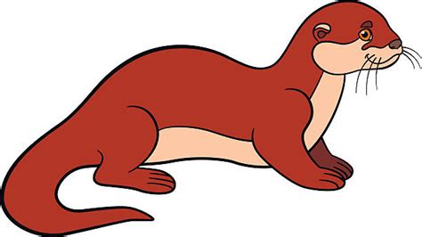 Royalty Free River Otter Clip Art Vector Images And Illustrations Istock