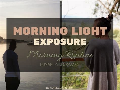 Morning Light Exposure Morning Routine Human Performance Zaneta Baran