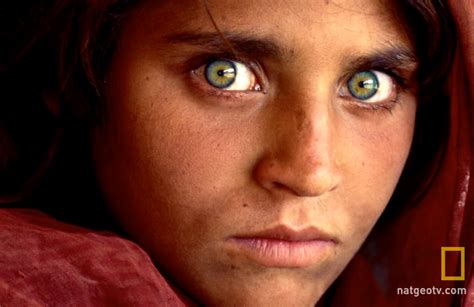 National Geographic S Iconic Green Eyed Afghan Girl Arrested In Pakistan For Fraud News