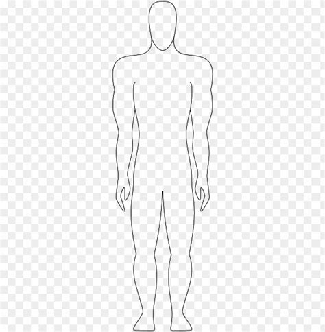 Free Download Hd Png Human Body Outline Png Sketch Png Transparent