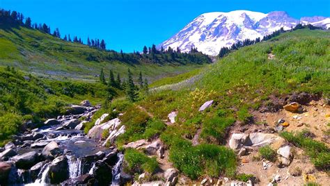 Skyline Trail Mount Rainier National Park All You Need To Know