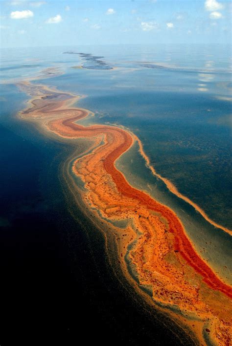 Bp Oil Spill Deep Water Horizon Chicago Tribune