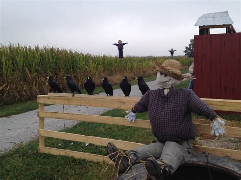 Haunted Wagon Rides | Youngs Jersey Dairy